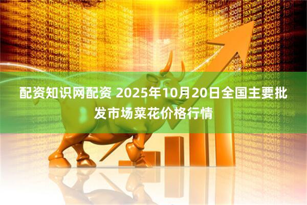 配资知识网配资 2025年10月20日全国主要批发市场菜花价格行情