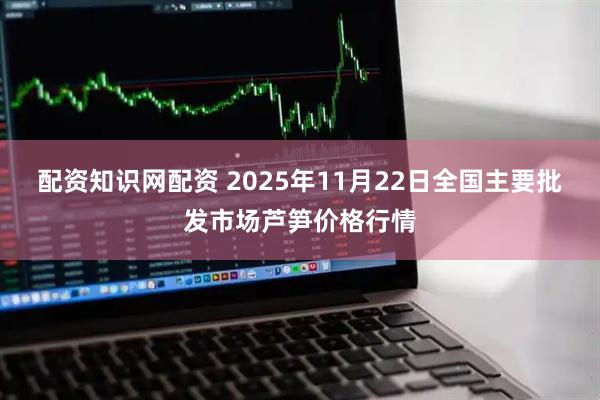 配资知识网配资 2025年11月22日全国主要批发市场芦笋价格行情