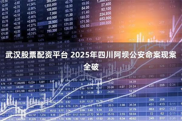 武汉股票配资平台 2025年四川阿坝公安命案现案全破