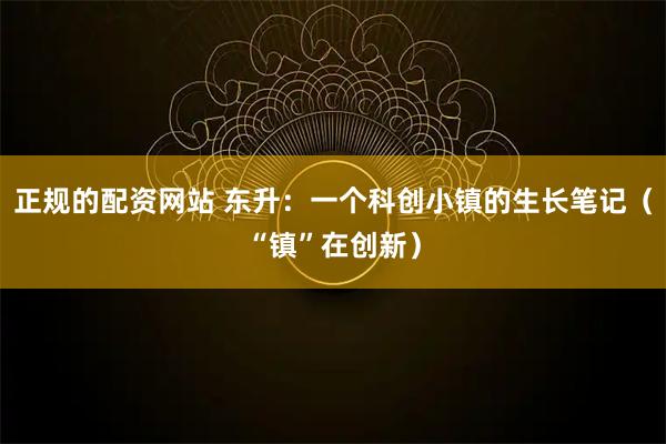 正规的配资网站 东升：一个科创小镇的生长笔记（“镇”在创新）